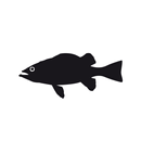 The Chippery APK