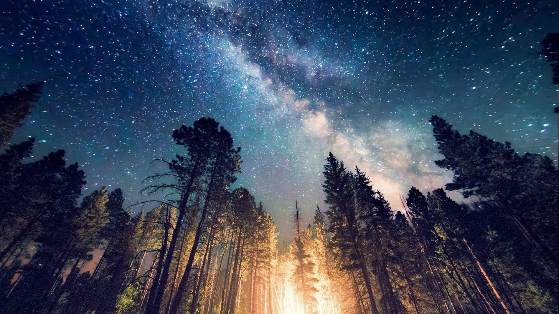 Природа ночью
