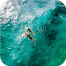Feel freedom. Surfing Walls-APK