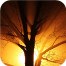 APK Universe Sight. Super Wallpape
