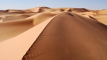 Amazing Dunes. Super Wallpapers poster