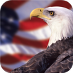 Washington Bird. Animals Wallpapers