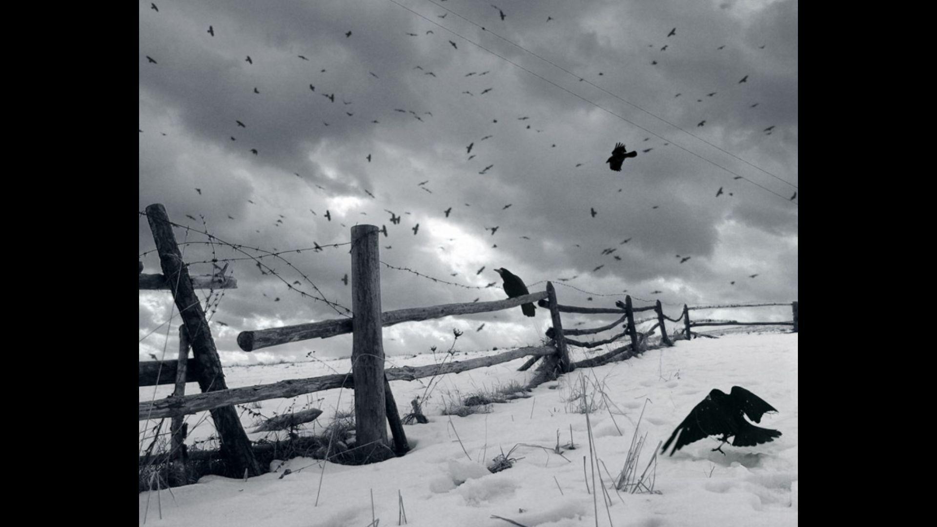 Песня снег войны. Депрессивные пейзажи. Зима грусть. Поле боя с воронами. Мрачный зимний пейзаж.