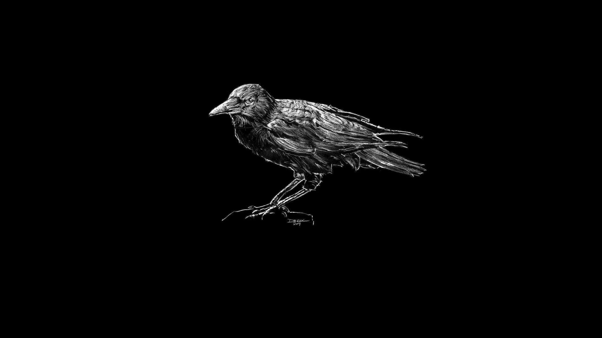 Lonely Raven Birds Wallpapers For Android Apk Download - the lonely raven roblox