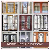 Poster Model Trellis Window