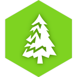 Santa Claus Is Come To Forest (Unreleased)