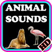 Animal Sounds HD APK