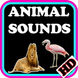 Animal Sounds HD