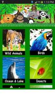 Animal Sounds HD Affiche
