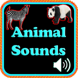 Animal Sounds