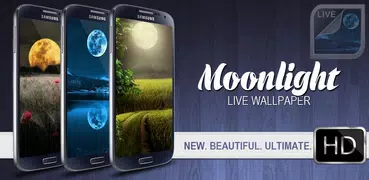 Mondlicht Hintergrund