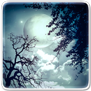 Mondlicht Hintergrundbilder APK