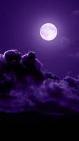 Moonlight Live Wallpaper Ekran Görüntüsü 1