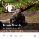 Moose Sounds APK