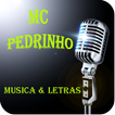 MC Pedrinho Musica & Letras