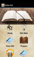 Bible NIV Affiche