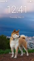 Beautiful Shiba Inu Dog Screen Lock Affiche