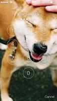 Funny Shiba Inu Dog Screen Lock Screenshot 1