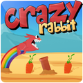 Crazy Rabbit