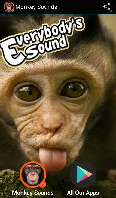 Monkey Sounds APK for Android Download Monkey Sounds APK for Android Download