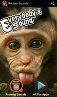 Monkey Sounds ポスター