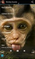 Monkey Sounds syot layar 1