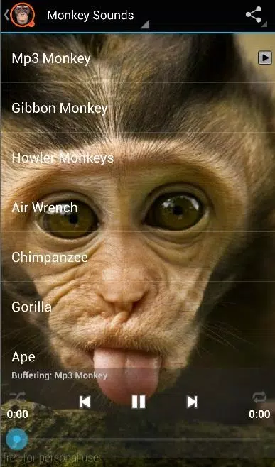 Monkey Sounds APK for Android Download