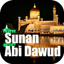 Hadith Abu Dawood English APK