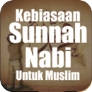 Kebiasaan Sunnah Nabi APK