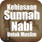 Kebiasaan Sunnah Nabi icono