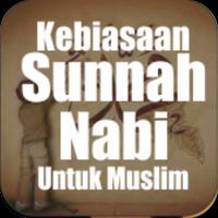 Kebiasaan Sunnah Nabi Plakat
