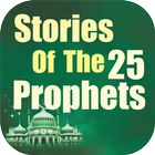 Stories Of The 25 Prophets icône