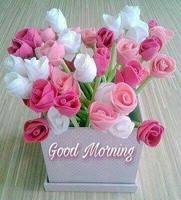 Good Morning Flowers স্ক্রিনশট 3