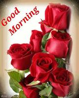 Good Morning Flowers plakat