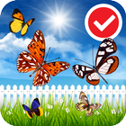 Beauty Butterfly Scenery LWP icon