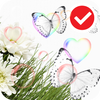 White Beauty Love Flower LWP icon