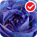 Blue Love Rose Flower LWP APK