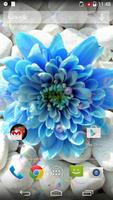 Blue Love Rose Flower LWP পোস্টার