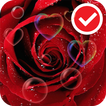 Red Rose Love Flower Free LWP