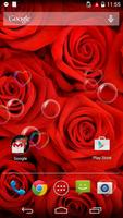 Red Rose Love Flower Free LWP পোস্টার