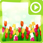 Icona Spring Color Flower Wallpaper