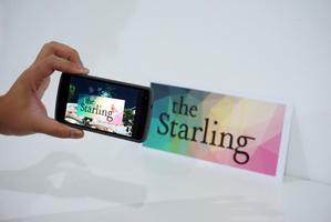 The Starling poster