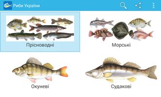 Риби України Plakat