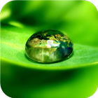 Water drop and nature. HD LWP icône