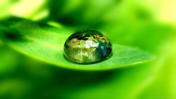 Water drop and nature. HD LWP الملصق