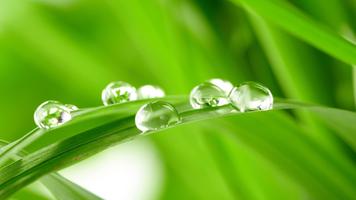 Water drop and nature. HD LWP 截图 2
