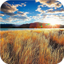 Landscapes. Live wallpapers APK