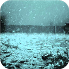 Rain. Live wallpapers icône