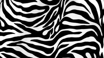 Zebra style. Live wallpapers capture d'écran 2