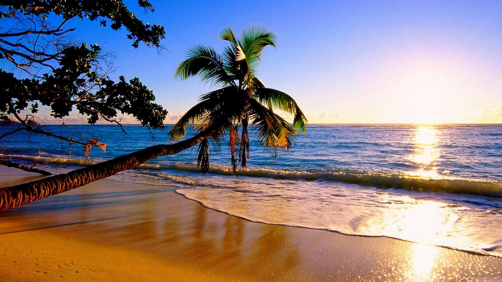 Paradise Beach Live Wallpapers For Android Apk Download